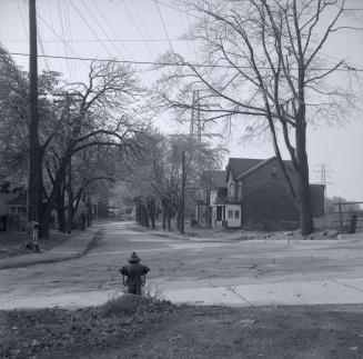 Empress Crescent, looking west from Dunn Avenue