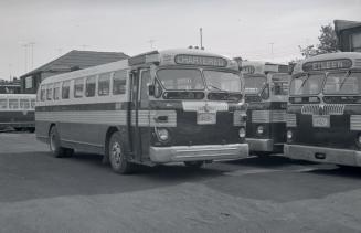 West York Coach Lines, garage, Pacific Avenue, southwest corner Vine Avenue, looking south from Vine Avenue, showing bus #500 in foreground