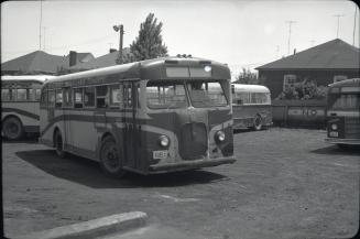 Hollinger Bus Lines, bus #43, at garage, Woodbine Avenue, southeast corner O'Connor Dr., looking southeast