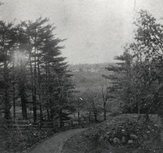 Image shows a path, some trees on both sides of it and a few houses in the background.