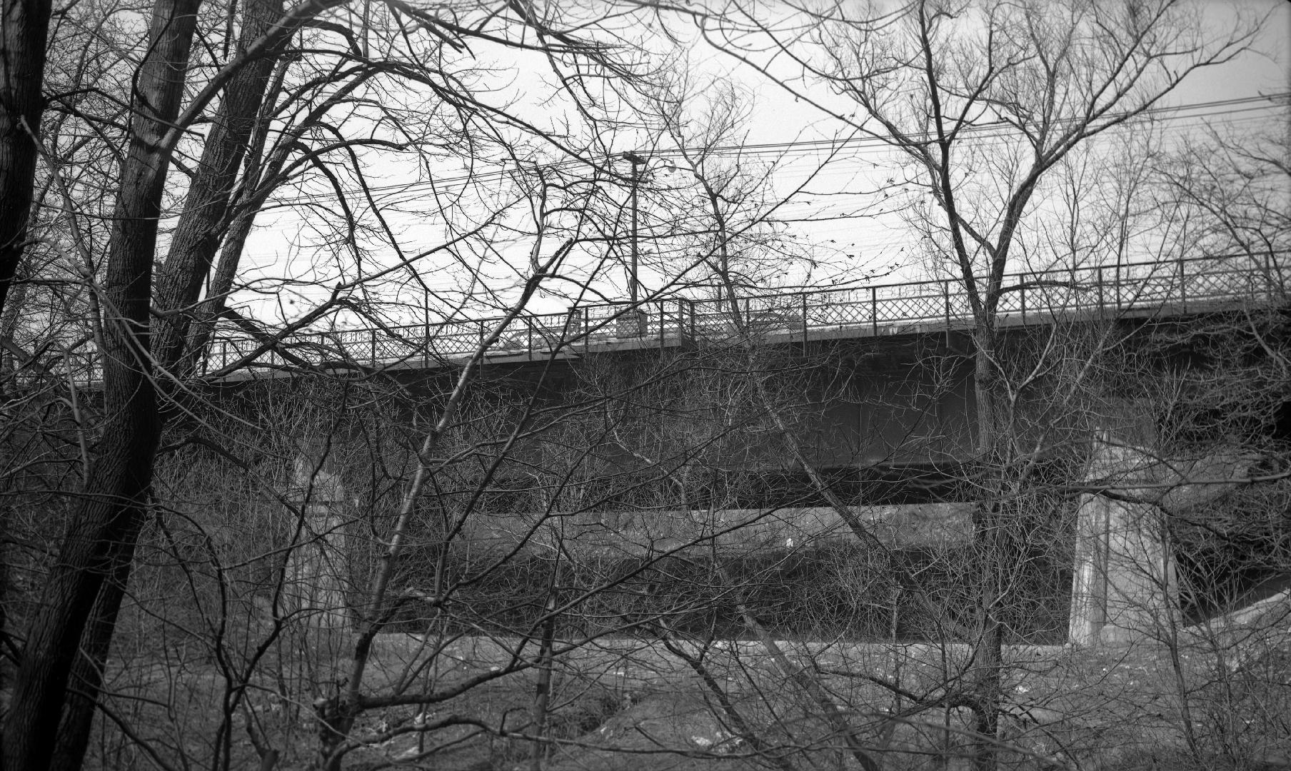 Image shows a bridge view from the park side.