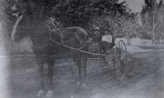Carriage, North Toronto. Image shows a one horse two wheel cart with two teenage boys sitting o ...