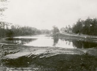 Ellis Avenue, looking north from about The Queensway, showing Catfish Pond