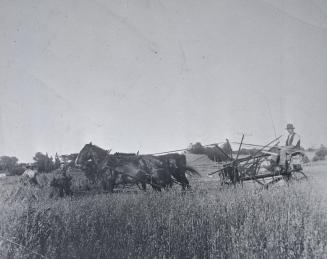 Farm, in Bedford Park, Toronto, Ontario. Image shows workers in the fields.