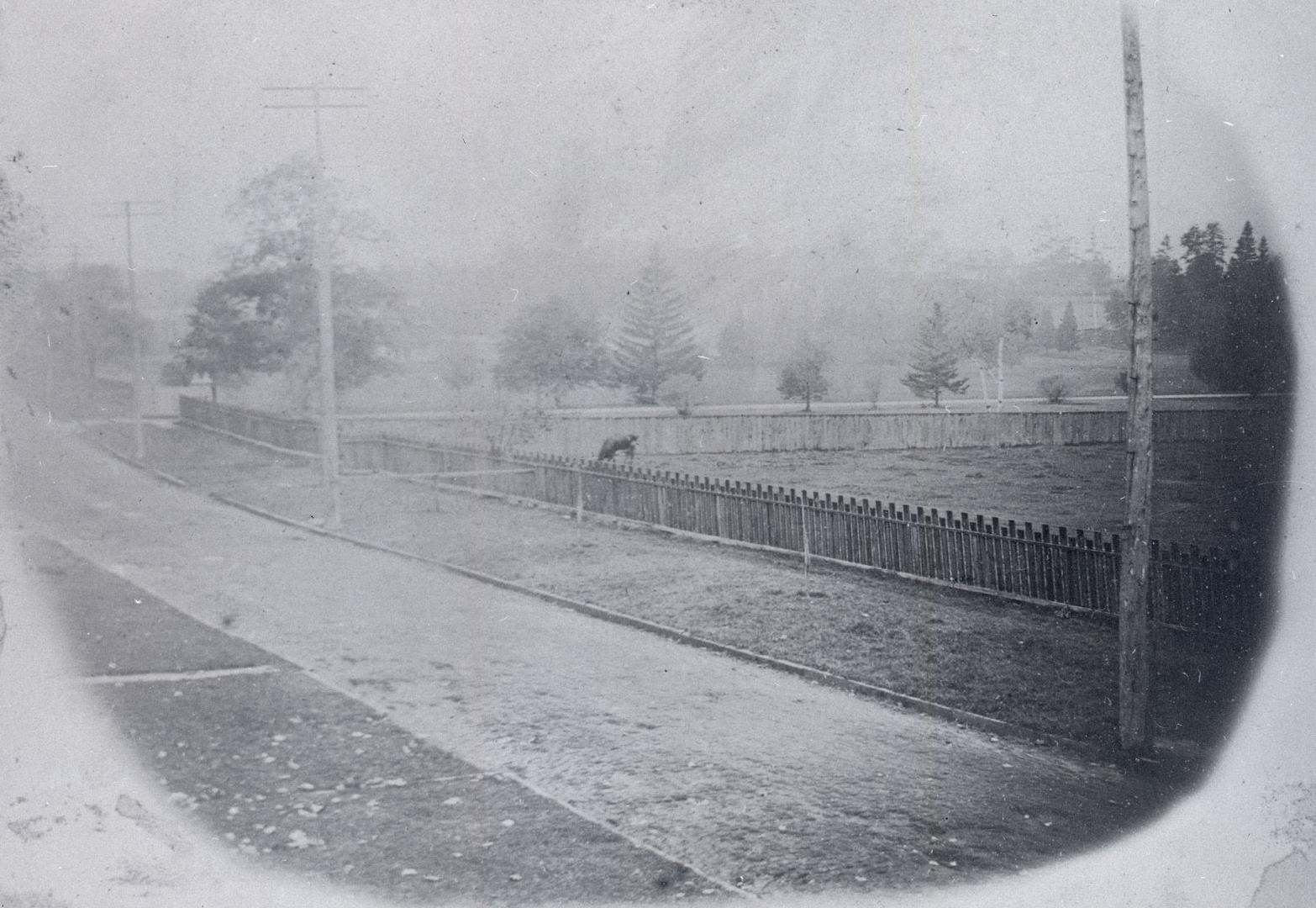 Image shows a toad view with some trees on the right.
