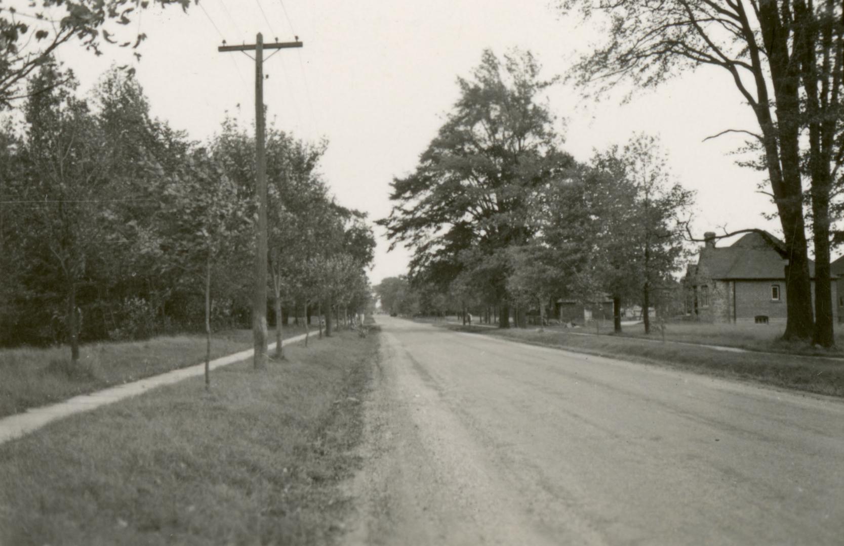 Royal York Road., between Dundas St. West & Eglinton Avenue West