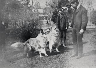 Historic photo from 1903 - Dougle and Bert playing with the dogs "Bruce" and "Laddie" outside Ermeleigh Mansion in Cabbagetown