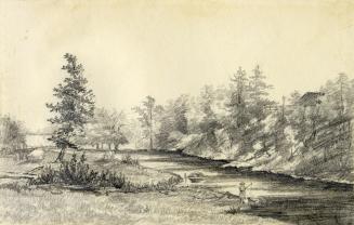 Humber River, looking south between St