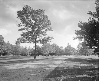 High Park, Bloor St. entrance