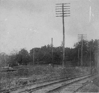 Image shows train tracks with a lot of trees in the background.