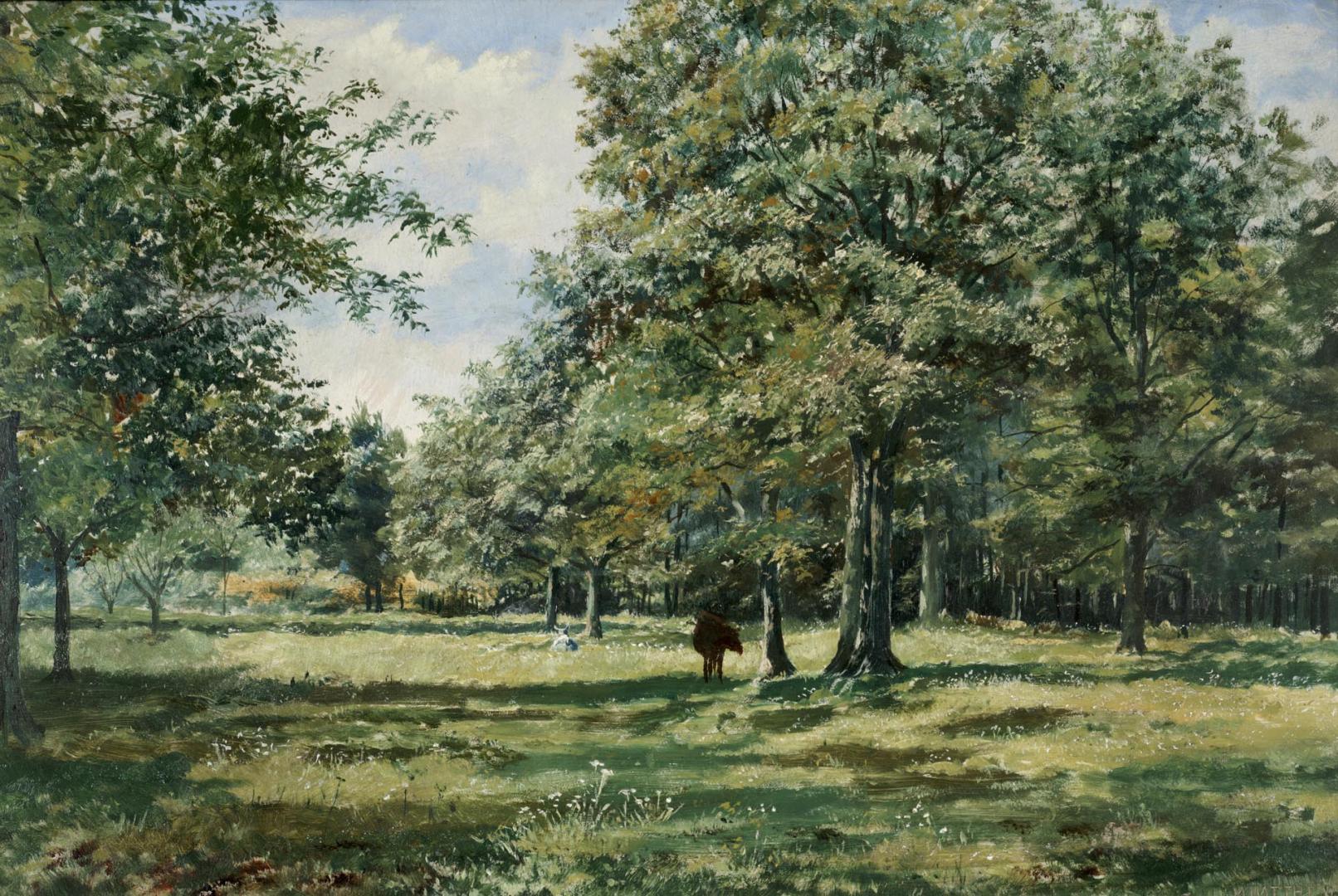 Painting shows a number of trees in the park.
