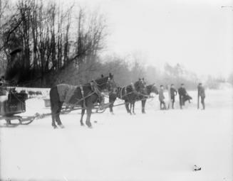 Grenadier Ice & Coal Co., Lakeshore Road., north side, e. of Ellis Avenue, showing ice cutting on Grenadier Pond