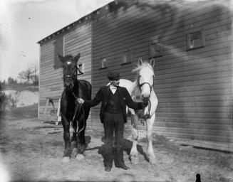 Grenadier Ice & Coal Co., Lakeshore Road., north side, e. of Ellis Avenue, showing horses used in ice cutting