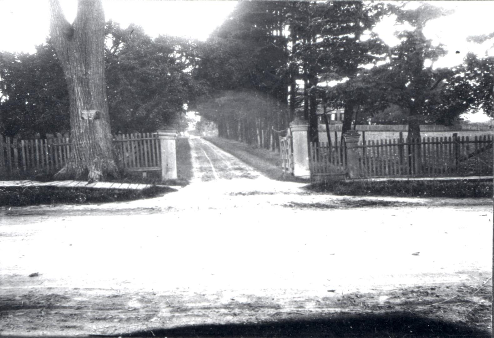 Gate and lane to Gibson House and Peter S