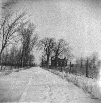 A farmhouse beside a snowy lane, which has a wire and post fence and trees on either side.