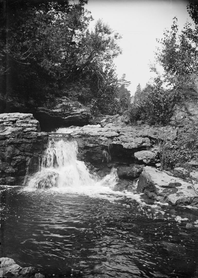 Fall on the Speed River