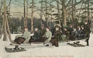Winter sports tobogganing, High Park, Toronto, Canada
