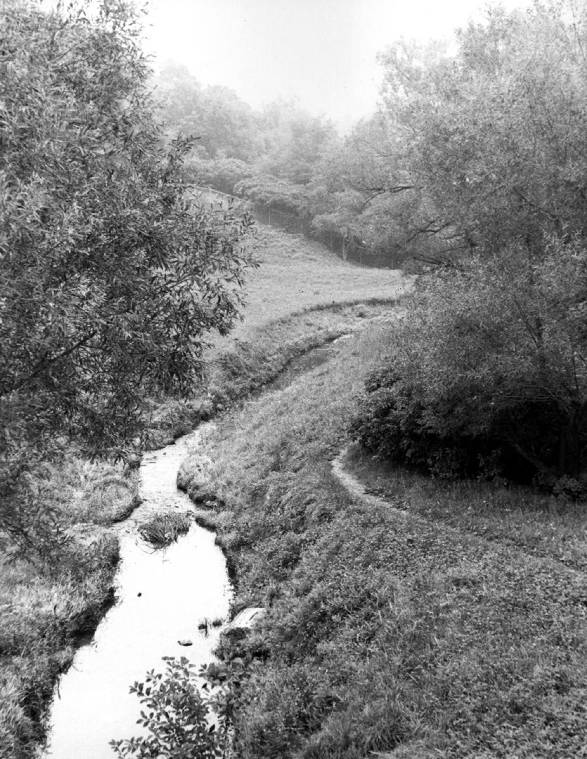 Chatsworth Ravine, west of Duplex Avenue, between Glenview Avenue and Chatsworth Drive, Toronto ...