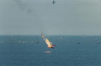 Air disaster: The pilot of this Snowbird jet ejected moments before it crashed in Lake Ontario Sunday