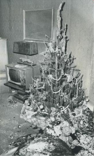 Plastic Christmas Tree was still festooned with decorations and lights in the living room after the fire was put out