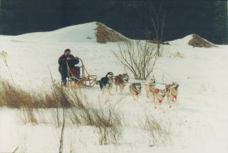 Siberian Huskies, Mike Oldenhof