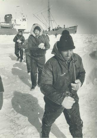 At the front: Men from the sealer Lady Johnson II haul a whip line used for towing seal pelts over the ice and back to the vessel