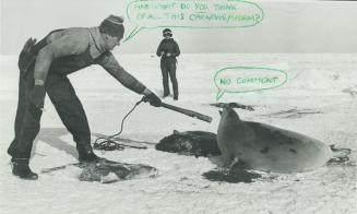 Animals - Seal Hunt - up to 1977