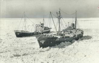 Sealing ships, above, in pack ice in Gulf of St