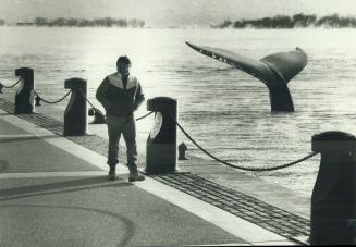 First, there was Humphrey, the wrong-way whale who lost his sense of direction in California and swam 70 miles up the Sacramento River before being tu(...)