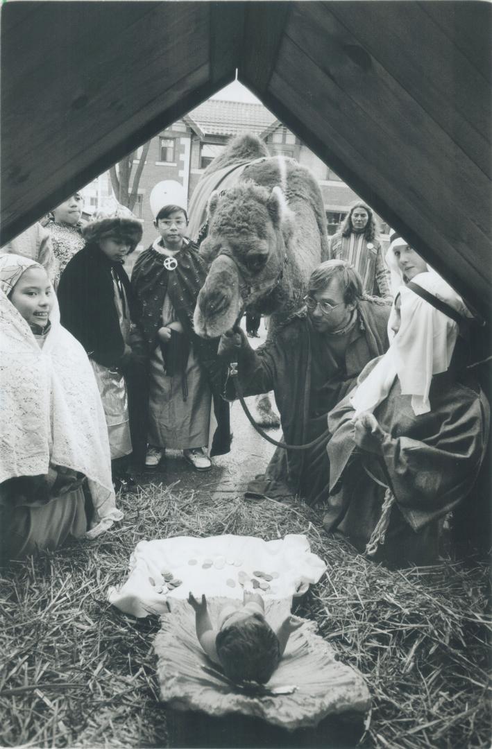Miracle on Maitland St.. A camel from the Bowmanville Zoo joins shepherds and wise men from St. Michael's Elementary School at a manager in fornt of t(...)