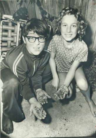 Was it a Meteorite? Brian Simpson, 12, and his sister, Tammy, 10, hold fragments of what the family thinks was a meteorite that crashed on their concr(...)