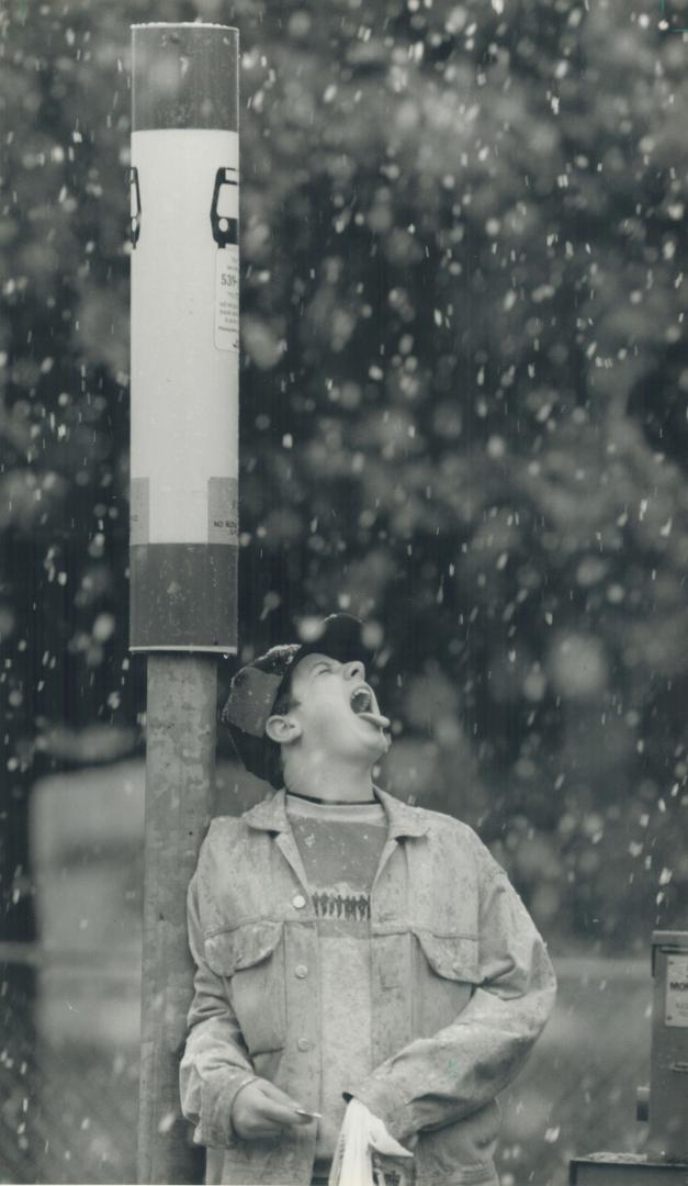 Taste of winter