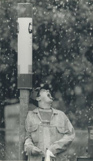 Taste of winter
