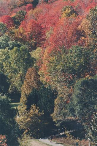 Taylor Creek Park