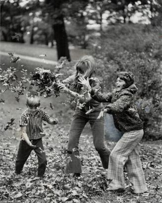Frolicking in fallen leaves is fun but leaves shouldn't be allowed to remain on the lawn