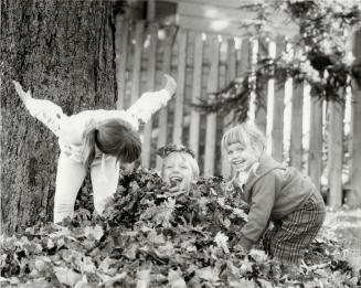 Some girls are such bullies. The leaves are falling all over Ontario and a lot of local kids have got a mean glint in their eyes. For what are leaves (...)