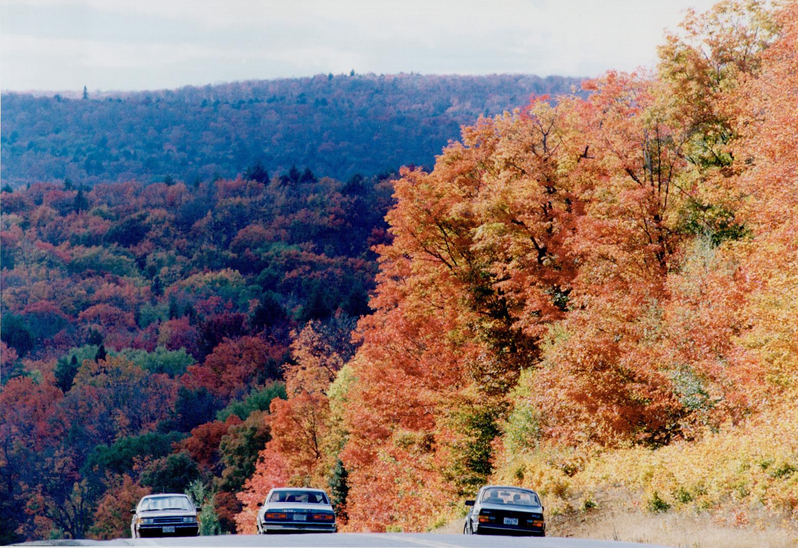 Dejonguin Park - Oct 1 1991, Highway 60