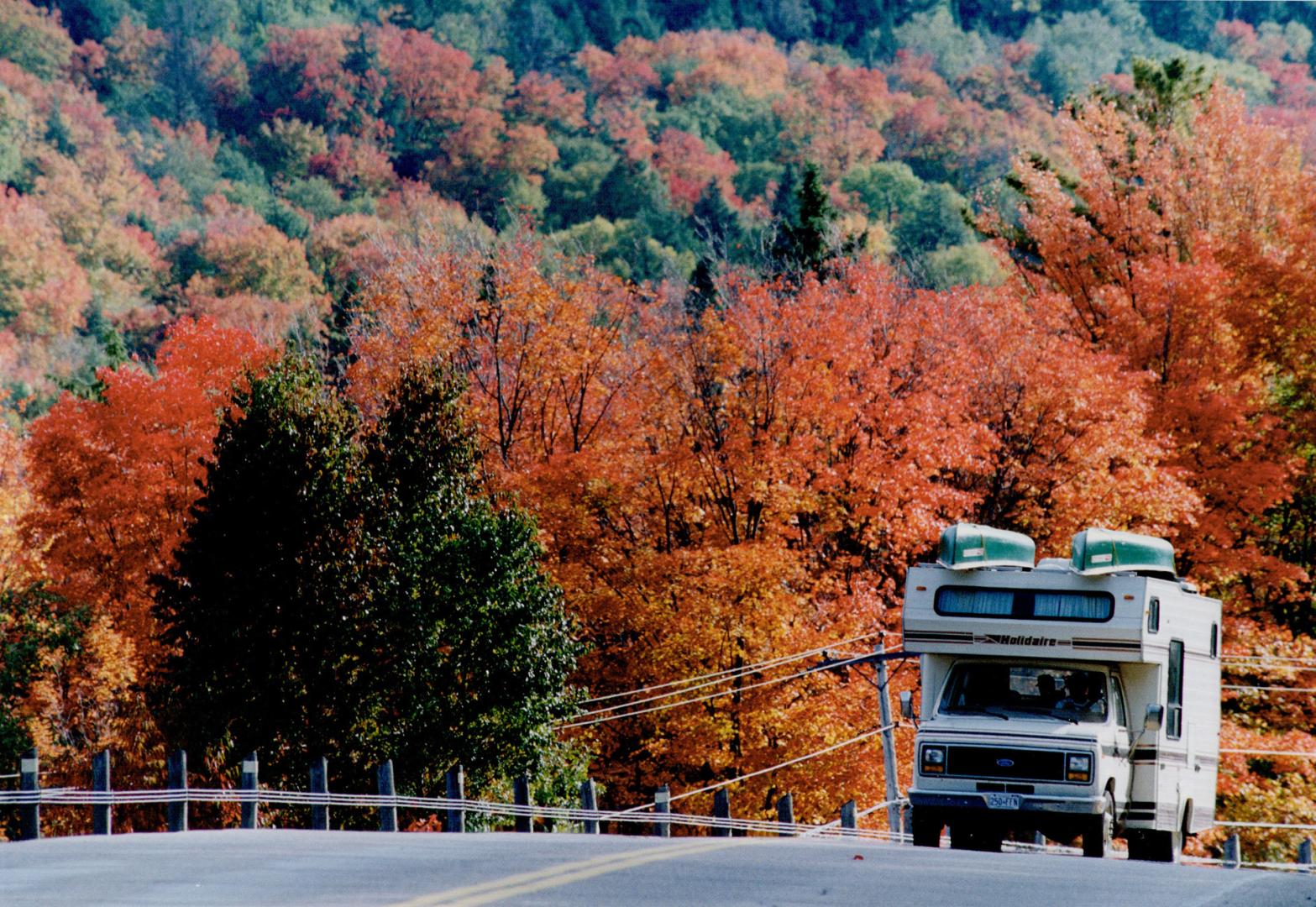 Agonguin Park, Highway 60