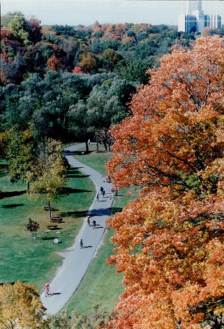 Serena Gundi Park