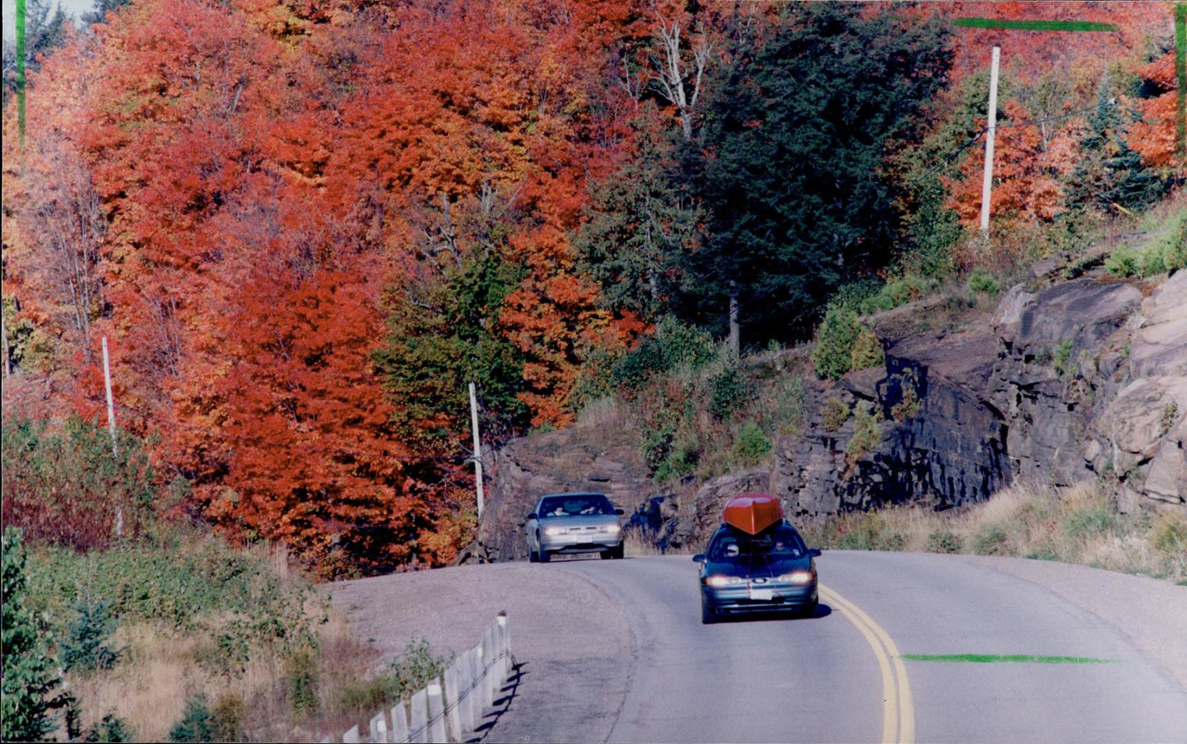 Highway 60 Algonquin Park