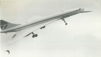 Can you top this? British Airways is looking for a photograph of the supersonic Concorde, to be used on a poster with a Toronto theme, and is offering(...)