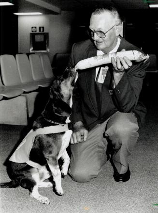Detector dog: Digger, on duty at Pearson Airport with his handler, Howard Clark of Agriculture Canada, is able to detect 75 plant and animal scents