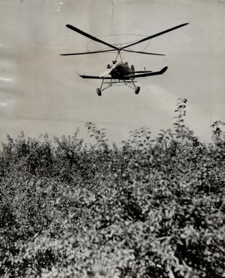 Autogyro hovers over orchard to spray trees, Harvest time is here