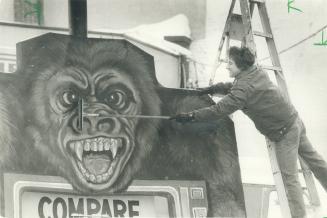 You wouldn't like it either! This big gorilla hangs out at City Tire at the corner of Queen and Jarvis Sts