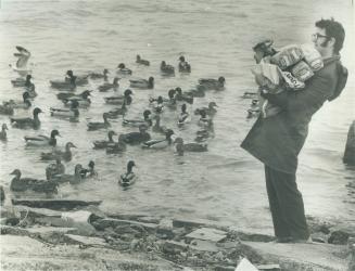 Scores of ducks-but not Ringo-paddle along the shore of Lake Ontario as Humane Society Inspector John McArthur tosses bread crumbs and corn to them to(...)