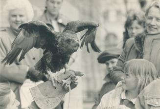 Getting the eagle eye. Melissa Rowe, 7, of Kingston, is taken aback as Napoleon, a 2-year-old Bateleur eagle from East Africa, spreads its wings in fr(...)