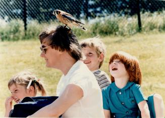 Worth 2 in the bush. An American kestrel perches on the head of Penny Kaddick, who was wathcing a demonstration of birds of prey yesterday during Kids(...)