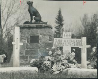 Pet cemetery near Goodwood contains the graves of some 2,000 animals, Dr. Alan Secord of Toronto, who started the cemetery, says: If there were no animals in heaven, it wouldn't be heaven, would it?