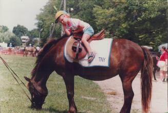 Little Shelby Ecclestone gets impatient waiting for Barb, a pony from Foggy River Farm in Mount Albert, to nibble some grass. The tyke was attending t(...)