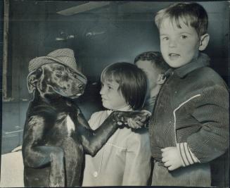 Welcoming some guests, 3-year-old Smoke wears a hat as he shakes hands with 3-year-old Guy Treleaven, while sister Cheryl, 8, and David Gale, 8, look (...)